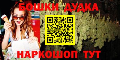 винт Партизанск